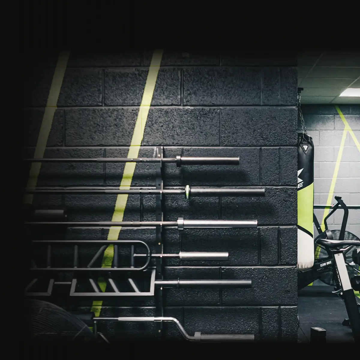 Unlocking Your Potential: 3 Science-Backed Benefits of HIIT